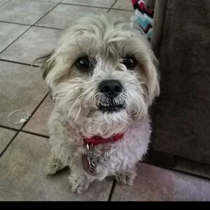 Meet your Posher, Ashlie